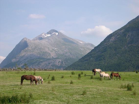 Dønhaug Gjestegard Uskedalen Exterior foto